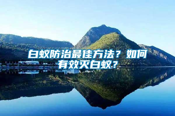 白蟻防治最佳方法？如何有效滅白蟻？