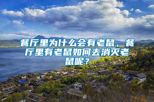 餐廳里為什么會有老鼠，餐廳里有老鼠如何去消滅老鼠呢？