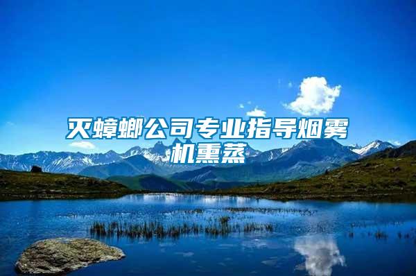 滅蟑螂公司專業指導煙霧機熏蒸