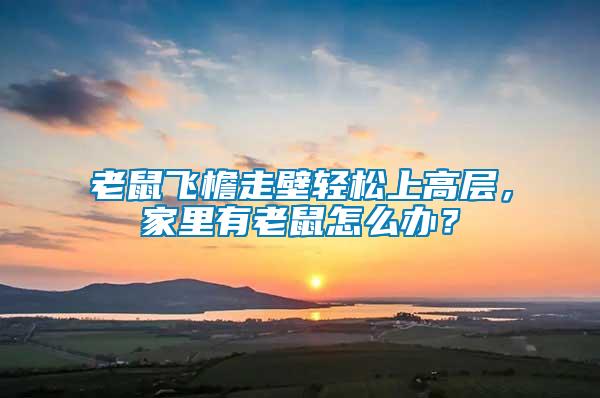 老鼠飛檐走壁輕松上高層，家里有老鼠怎么辦？