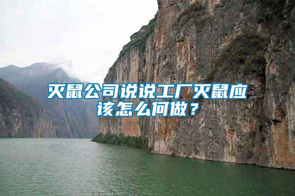 滅鼠公司說說工廠滅鼠應(yīng)該怎么何做？