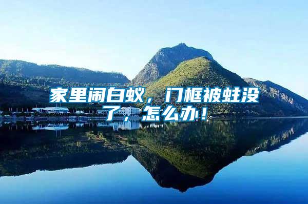家里鬧白蟻，門框被蛀沒了，怎么辦！