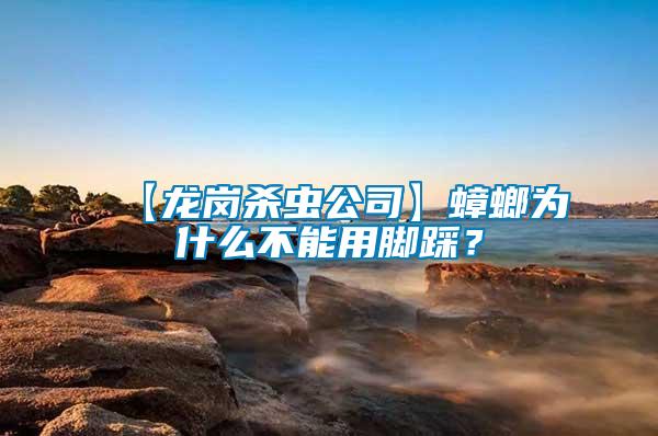 【龍崗殺蟲公司】蟑螂為什么不能用腳踩？