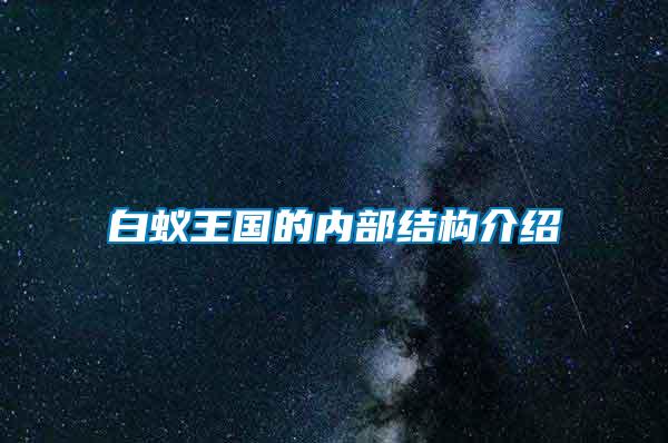 白蟻王國的內(nèi)部結構介紹