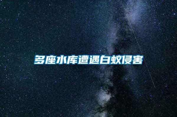 多座水庫(kù)遭遇白蟻侵害