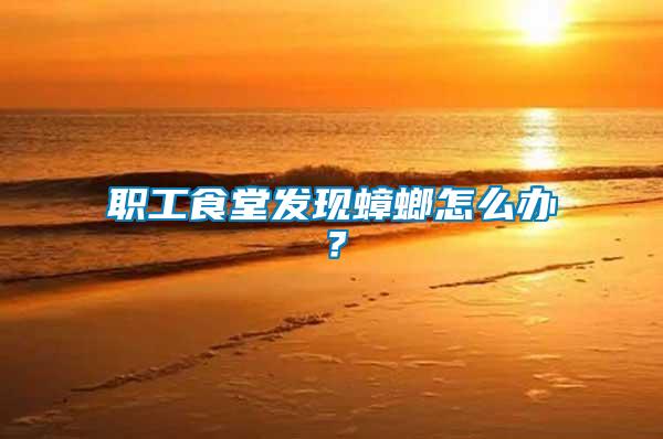 職工食堂發現蟑螂怎么辦？