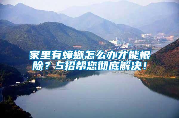 家里有蟑螂怎么辦才能根除？5招幫您徹底解決！