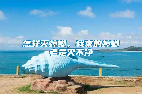怎樣滅蟑螂，我家的蟑螂老是滅不凈