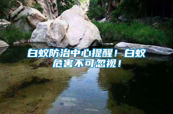 白蟻防治中心提醒！白蟻危害不可忽視！
