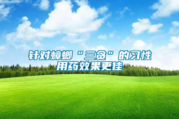 針對蟑螂“三貪”的習性用藥效果更佳