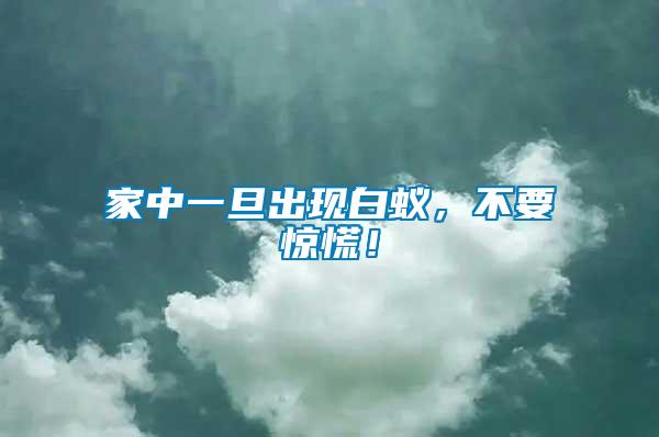 家中一旦出現(xiàn)白蟻，不要驚慌！