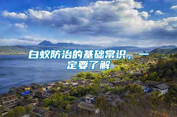 白蟻防治的基礎常識，一定要了解