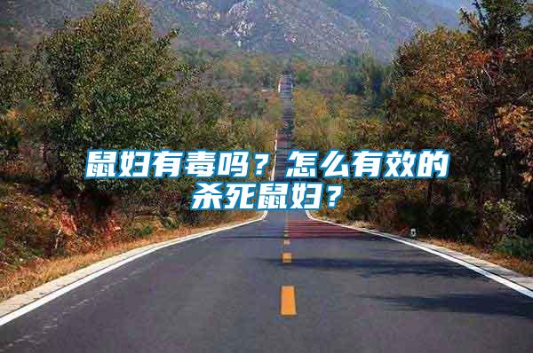 鼠婦有毒嗎？怎么有效的殺死鼠婦？