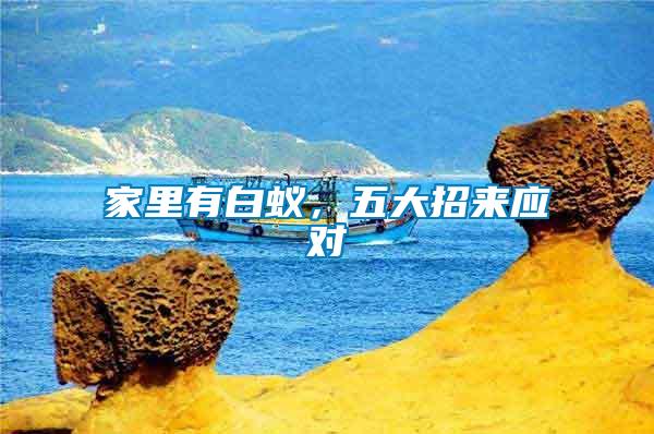 家里有白蟻，五大招來應對
