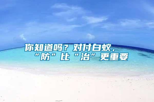 你知道嗎？對付白蟻，“防”比“治”更重要