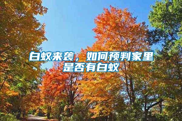 白蟻來(lái)襲，如何預(yù)判家里是否有白蟻