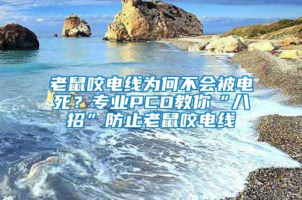 老鼠咬電線為何不會(huì)被電死？專業(yè)PCO教你“八招”防止老鼠咬電線