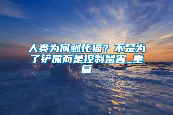 人類為何馴化貓？不是為了鏟屎而是控制鼠害_重復(fù)