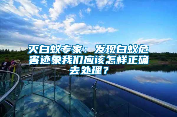 滅白蟻專家：發現白蟻危害跡象我們應該怎樣正確去處理？