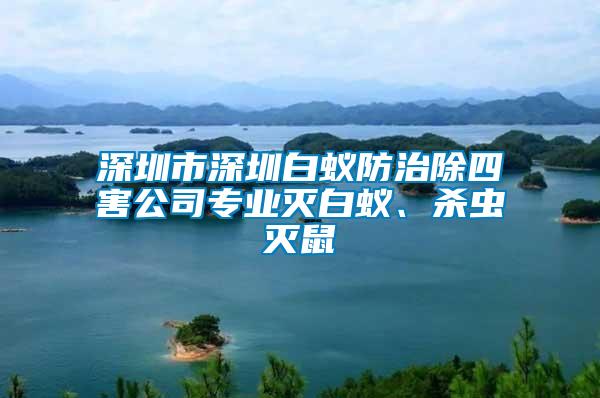 深圳市深圳白蟻防治除四害公司專(zhuān)業(yè)滅白蟻、殺蟲(chóng)滅鼠