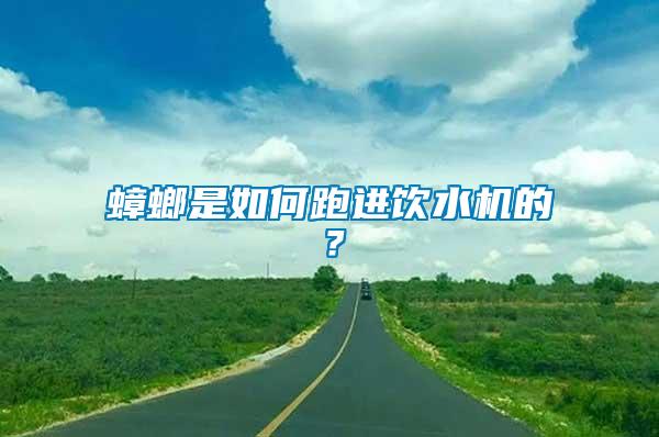 蟑螂是如何跑進飲水機的？