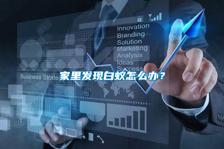 家里發現白蟻怎么辦？