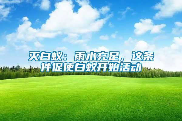 滅白蟻：雨水充足，這條件促使白蟻開始活動