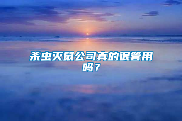 殺蟲滅鼠公司真的很管用嗎？