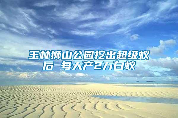 玉林獅山公園挖出超級蟻后 每天產2萬白蟻