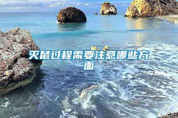 滅鼠過(guò)程需要注意哪些方面
