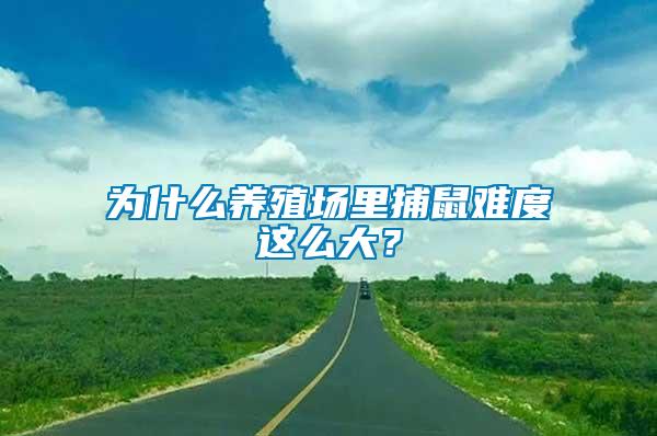 為什么養殖場里捕鼠難度這么大？