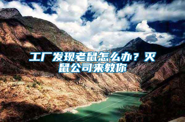 工廠發現老鼠怎么辦？滅鼠公司來教你
