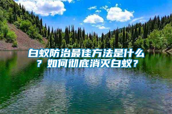 白蟻防治最佳方法是什么？如何徹底消滅白蟻？
