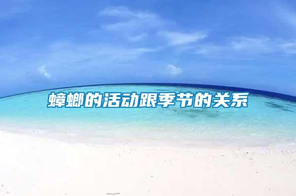 蟑螂的活動跟季節的關系