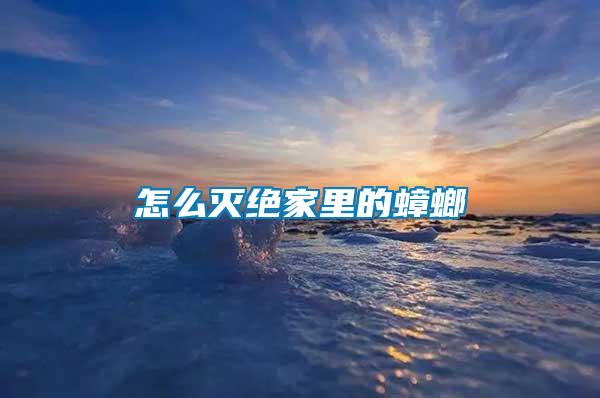 怎么滅絕家里的蟑螂