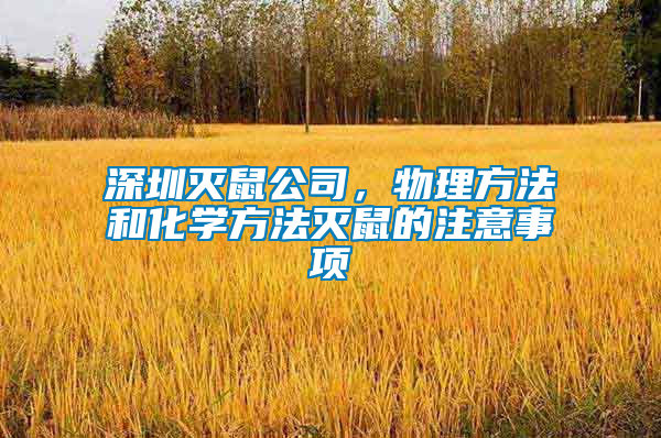 深圳滅鼠公司，物理方法和化學方法滅鼠的注意事項