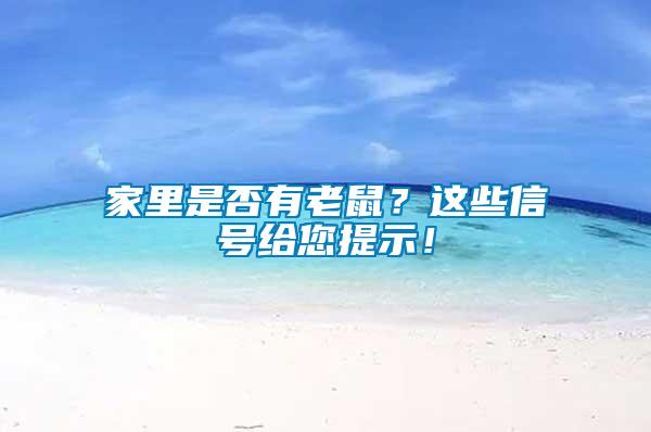 家里是否有老鼠？這些信號(hào)給您提示！