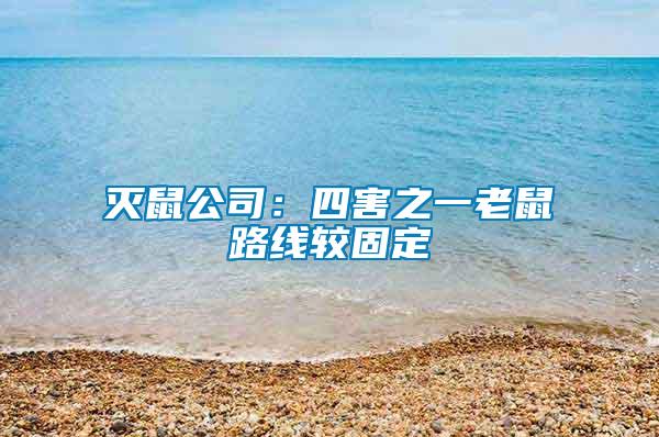 滅鼠公司：四害之一老鼠路線較固定