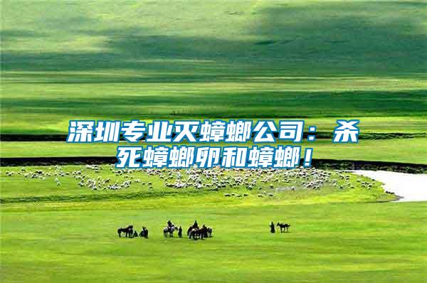 深圳專業滅蟑螂公司：殺死蟑螂卵和蟑螂！