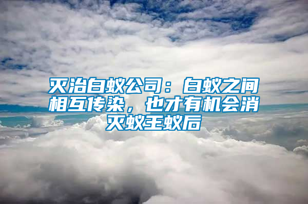 滅治白蟻公司：白蟻之間相互傳染，也才有機(jī)會消滅蟻王蟻后