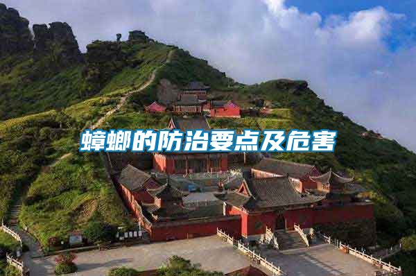 蟑螂的防治要點及危害