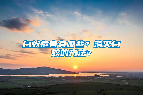 白蟻危害有哪些？消滅白蟻的方法？