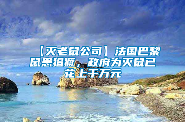 【滅老鼠公司】法國巴黎鼠患猖獗，政府為滅鼠已花上千萬元