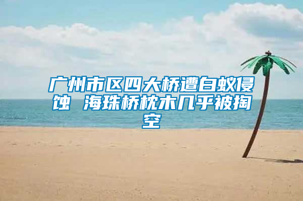 廣州市區四大橋遭白蟻侵蝕 海珠橋枕木幾乎被掏空