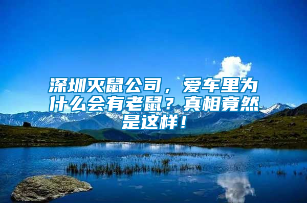 深圳滅鼠公司，愛車里為什么會有老鼠？真相竟然是這樣！
