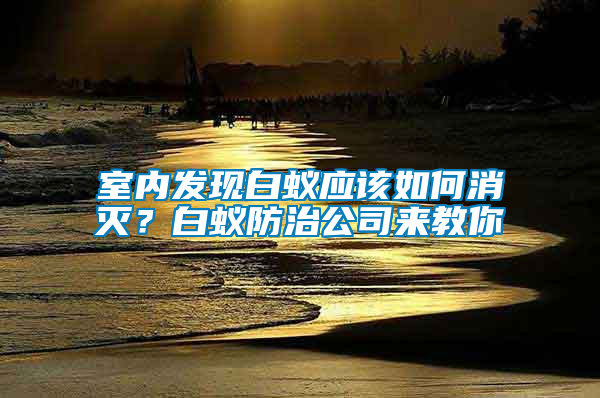 室內發現白蟻應該如何消滅？白蟻防治公司來教你