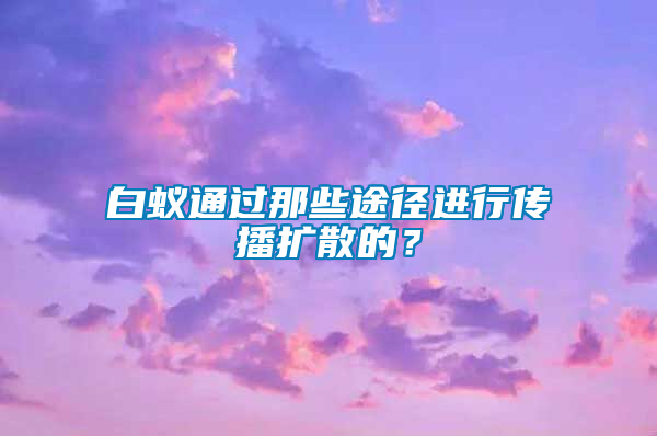 白蟻通過那些途徑進行傳播擴散的？