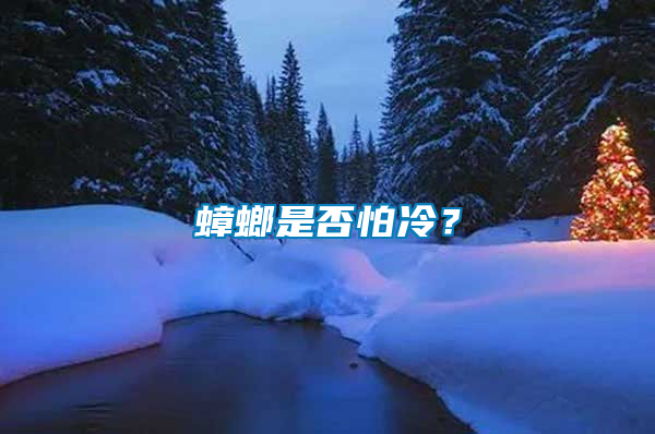蟑螂是否怕冷？