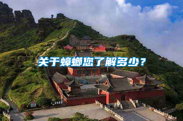 關于蟑螂您了解多少？