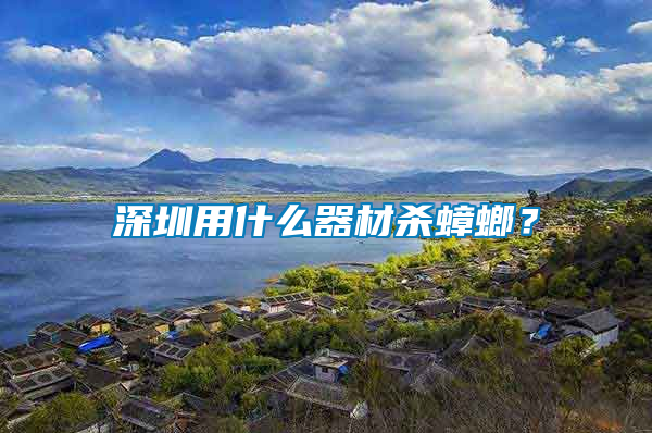 深圳用什么器材殺蟑螂？
